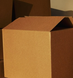 captura de pantalla 2026 02 05 164157